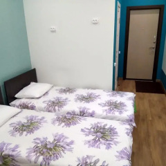Mini-Hotel Riverpark Стандартный номер с 2 отдельными кроватями фото 5