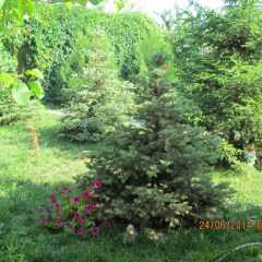 Гостиница Relax Guest House Бердянск фото 3