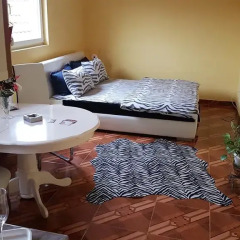 Апартаменты Apartments Maca Нови Сад комната для гостей фото 4