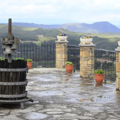 Отель Castell de Guardiola фото 2