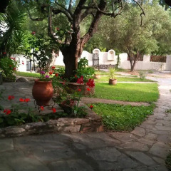 Отель Olive House Ситония фото 9