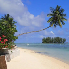 Отель Moorea Beach Lodge пляж фото 2