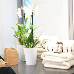Nordic Hotel 3* Номер Делюкс с различными типами кроватей фото 2