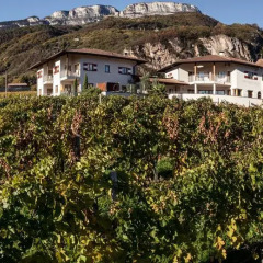 Отель Weingut Donà Аппиано-сулла-Страда-дель-Вино фото 3