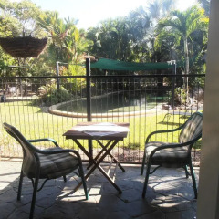 Отель Daintree Wild Zoo & Bed and Breakfast 3* Стандартный номер с различными типами кроватей фото 5