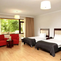 Отель Lopota Lake Resort & Spa комната для гостей фото 3