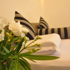 Отель Green Villa 3* Номер Делюкс с различными типами кроватей фото 6