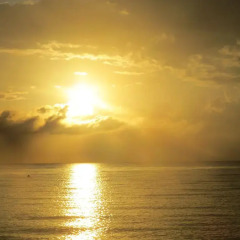 Отель A Piece of Paradise Montego Bay Ямайка, Монтего-Бей - отзывы, цены и фото номеров - забронировать отель A Piece of Paradise Montego Bay онлайн приотельная территория фото 2