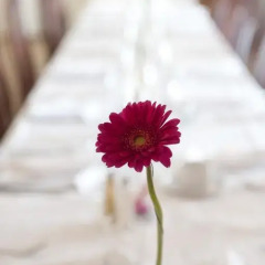 Sturup Airport Hotel интерьер отеля фото 2