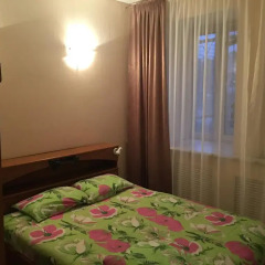 Hostel Zeleniy Dom Стандартный номер с разными типами кроватей фото 2