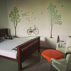 Отель Olive Tree Guest House детские мероприятия