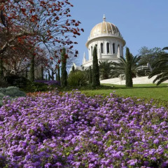 Отель Haifa Bay View Хайфа фото 5