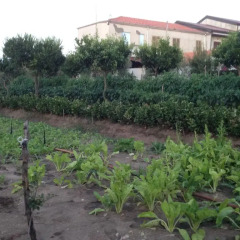 Отель Agriturismo Torre Galli фото 3