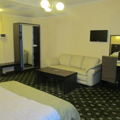 Гостиница Golden Palace 3* Номер Комфорт с различными типами кроватей фото 3