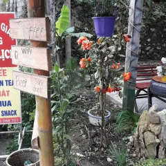 Отель Dang Phung Homestay Номер категории Эконом фото 10