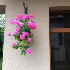 Отель The Lake Villa сауна