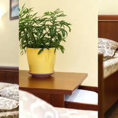 Гостиница Paradise Garden Стандартный номер фото 9