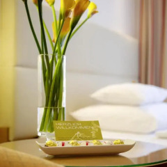 Boutique Hotel Das Tigra 4* Полулюкс с разными типами кроватей