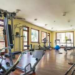 Отель Borika Hotel Болгария, Чепеларе - отзывы, цены и фото номеров - забронировать отель Borika Hotel онлайн фитнесс-зал фото 2