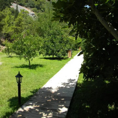 Отель Azra Villas 3* Вилла с различными типами кроватей фото 14