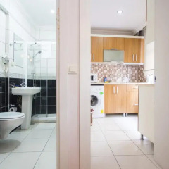 Апартаменты Feyza Apartments Студия Делюкс с различными типами кроватей фото 16