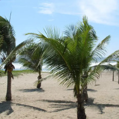 Отель Bungalos Sol Dorado 2* Вилла с различными типами кроватей фото 11