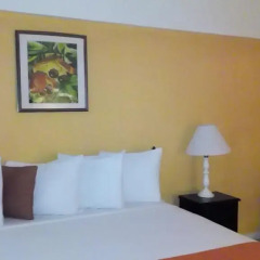 Pineapple Court Hotel 2* Стандартный номер с различными типами кроватей фото 37