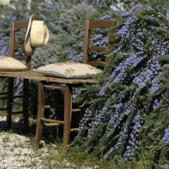 Отель Ca'Bevilacqua Bed&Breakfast Бертиноро фото 12
