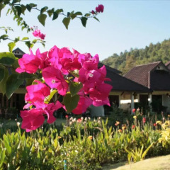 Отель Maekok River Village Resort фото 19