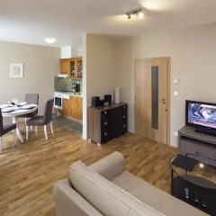 Hotel Apartments Wenceslas Square 3* Апартаменты с различными типами кроватей фото 22