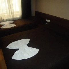Alpin Hotel комната для гостей