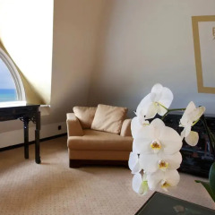 Hotel Zhong Hua с домашними животными