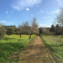 Отель Casa Valle Dei Templi Агридженто спортивное сооружение