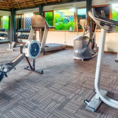 Отель Tanoa International Hotel Фиджи, Вити-Леву - отзывы, цены и фото номеров - забронировать отель Tanoa International Hotel онлайн фитнесс-зал фото 3