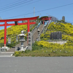 Daiwa Roynet Hotel Hachinohe Мисава фото 2