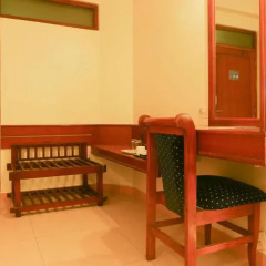 Hotel Natraj удобства в номере фото 2
