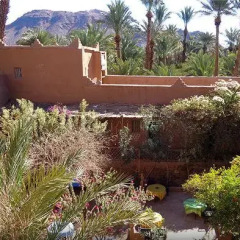 Отель Riad Dar Zaouia Марокко, Загора - отзывы, цены и фото номеров - забронировать отель Riad Dar Zaouia онлайн фото 8