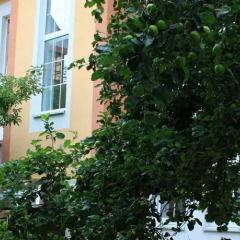 Гостевой Дом Альбертина вид на фасад фото 3