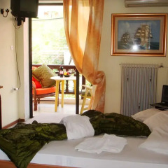 Hotel Petunia 3* Стандартный номер с разными типами кроватей фото 2
