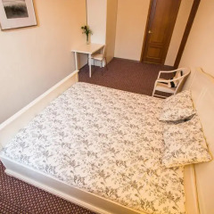Гостиница Гермес 3* Стандартный номер разные типы кроватей фото 4
