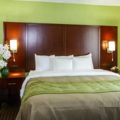 Отель Comfort Inn At Carowinds 3* Стандартный номер