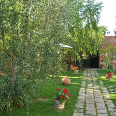 Отель Villa Vignacce Синалунга детские мероприятия