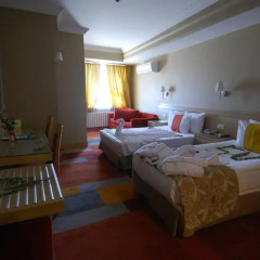 SV Business Hotel Diyarbakir 4* Стандартный номер