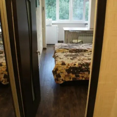 Гостиница Zheleznovodsk Apartment on Lenina в Железноводске отзывы, цены и фото номеров - забронировать гостиницу Zheleznovodsk Apartment on Lenina онлайн Железноводск интерьер отеля