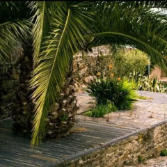 Отель Quintinha Do Miradouro Португалия, Мезан-Фриу - отзывы, цены и фото номеров - забронировать отель Quintinha Do Miradouro онлайн фото 5