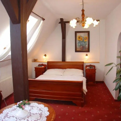 Opera Hotel 4* Стандартный номер с разными типами кроватей фото 15