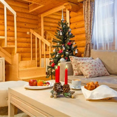Отель Yastrebets Wellness & Spa 4* Люкс