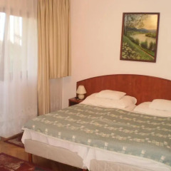 Helios Hotel Pension 3* Апартаменты с различными типами кроватей фото 7