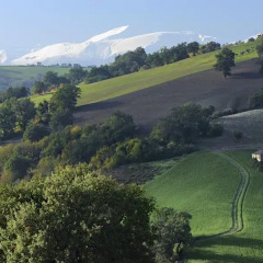 Отель Agriturismo Agra Mater Италия, Монтекассино - отзывы, цены и фото номеров - забронировать отель Agriturismo Agra Mater онлайн фото 2