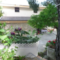 Отель La Pineta B&B Пьяцца-Армерина фото 3